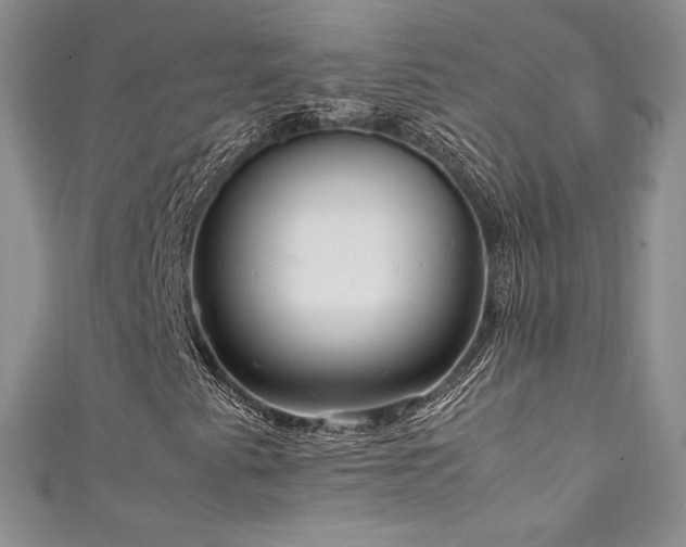 X0000111851345200907231420