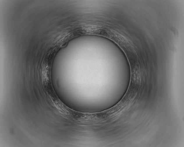 X0000111851346200907231420