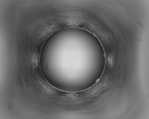 X0000111851348200907231420