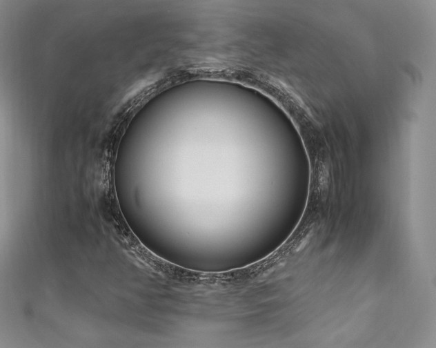 X0000111851350200907231420