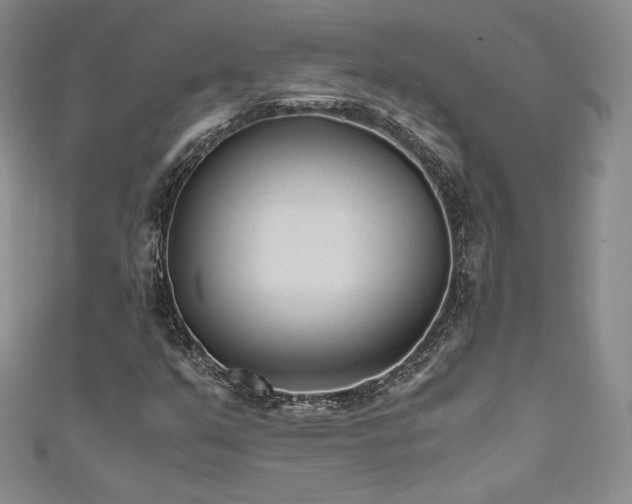 X0000111851351200907231420