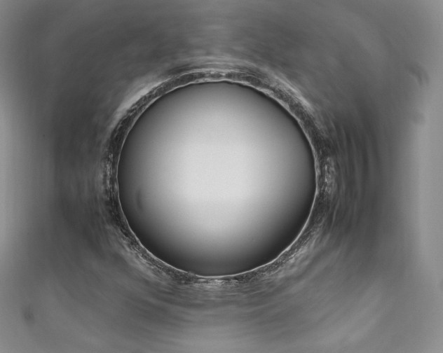 X0000111851352200907231420