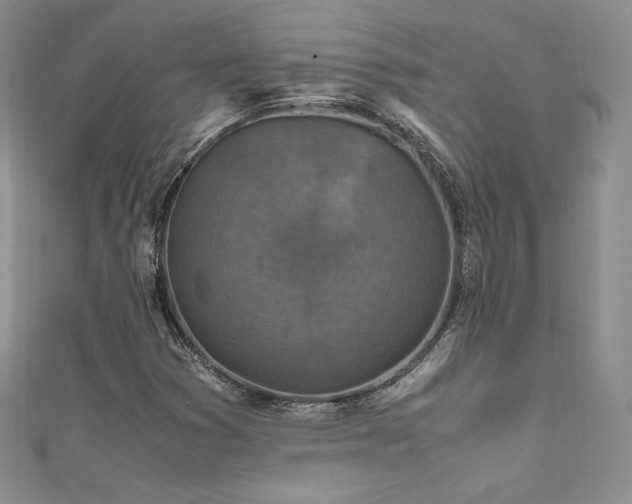 X0000111851353200907231420