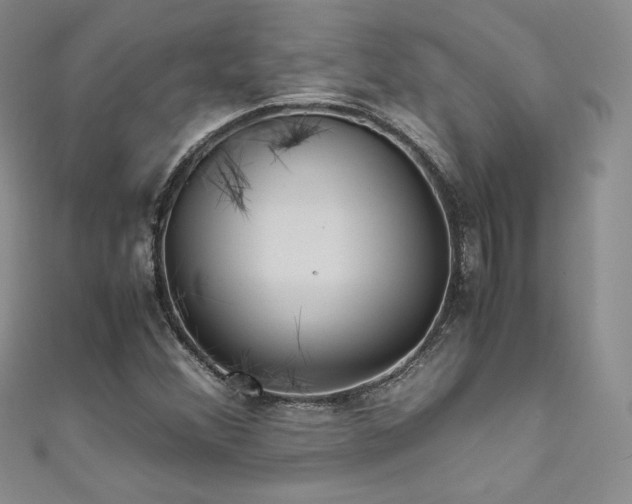 X0000111851356200907231420