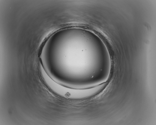 X0000111851357200907231420