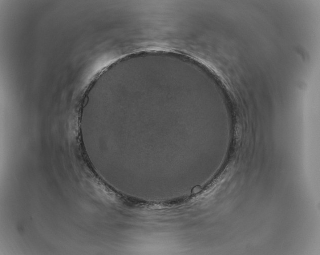 X0000111851359200907231420