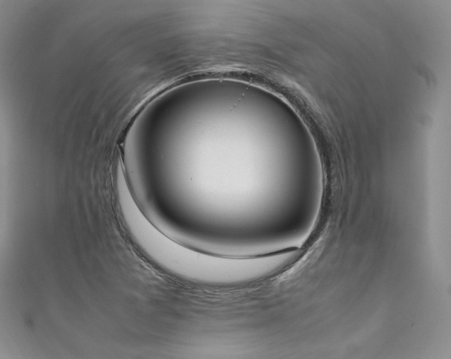 X0000111851361200907231420