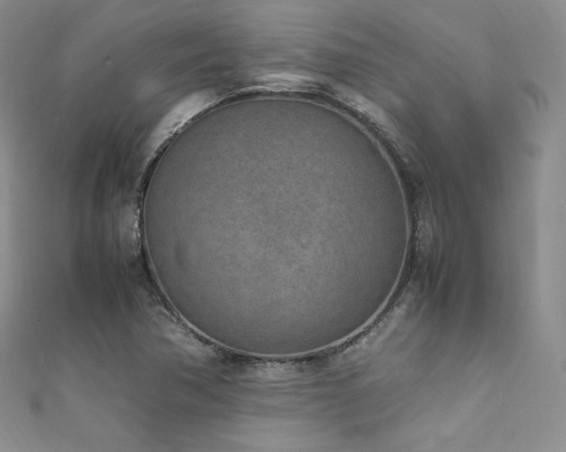 X0000111851362200907231420