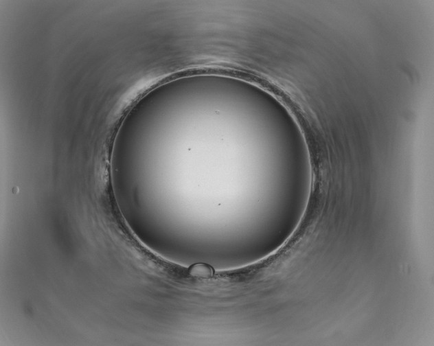 X0000111851363200907231420