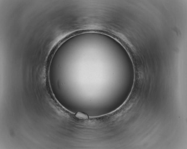 X0000111851364200907231420
