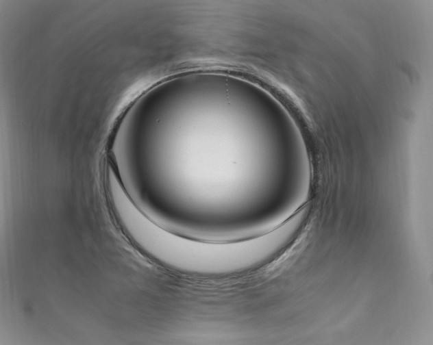 X0000111851365200907231420