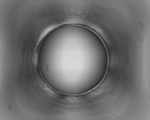 X0000111851366200907231420