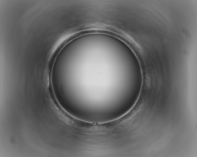 X0000111851368200907231420