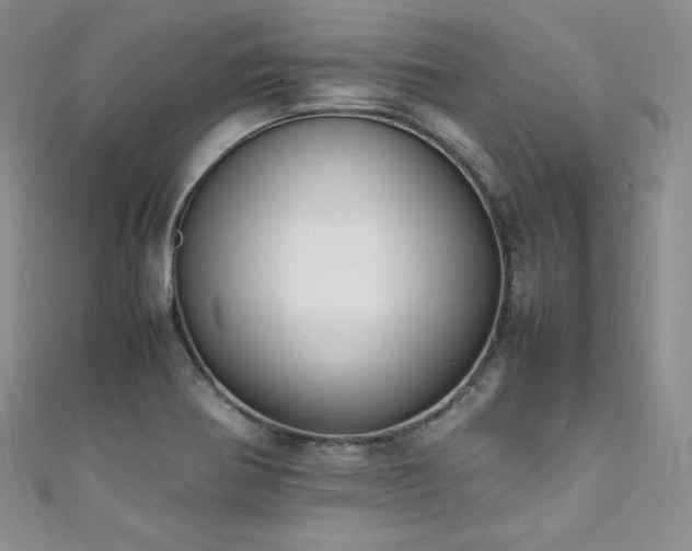 X0000111851370200907231420