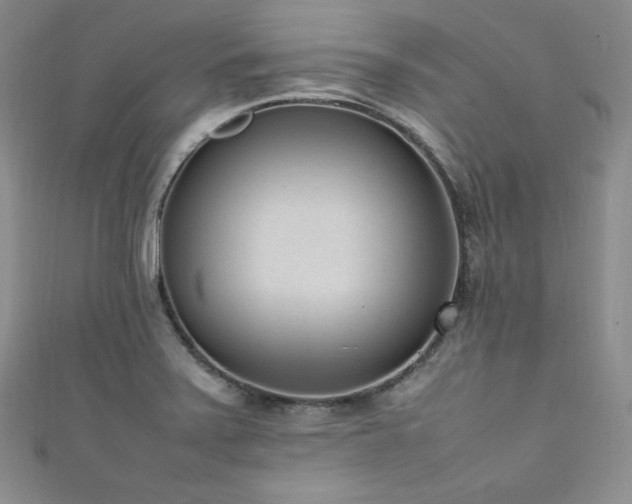 X0000111851371200907231420
