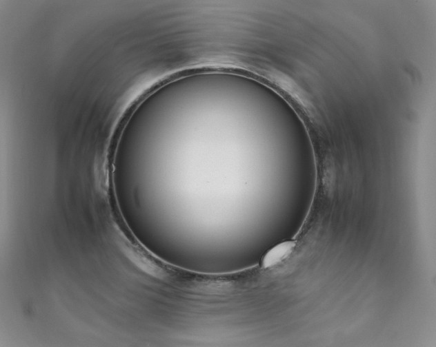 X0000111851372200907231420