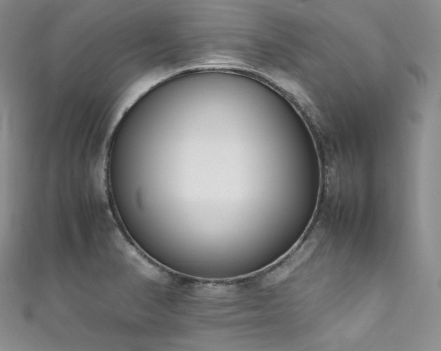 X0000111851374200907231419
