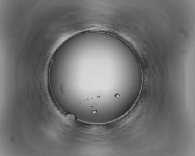 X0000111851375200907231419