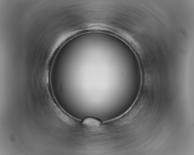 X0000111851376200907231419