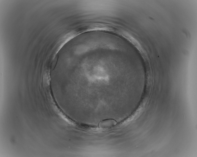 X0000111851377200907231419