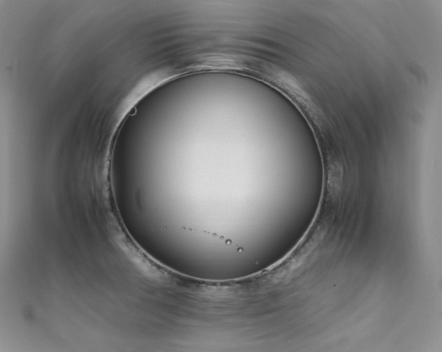 X0000111851378200907231419