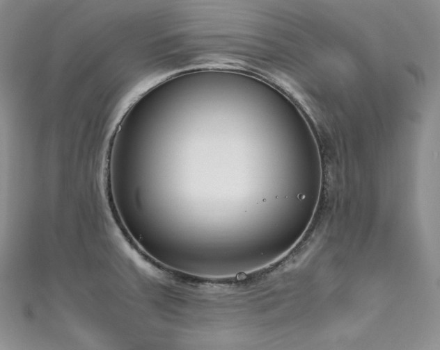 X0000111851379200907231419
