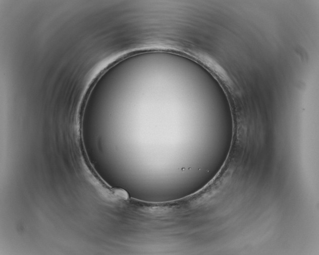X0000111851380200907231419