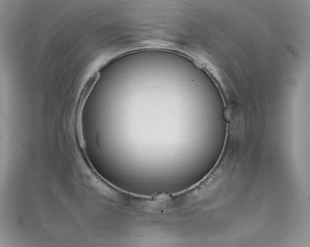 X0000111851381200907231419