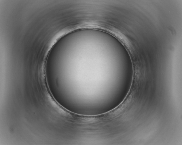 X0000111851382200907231419