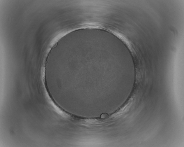 X0000111851383200907231419