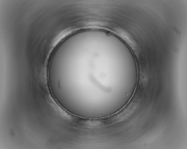 X0000111851384200907231419