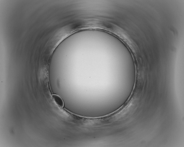 X0000111851385200907231419