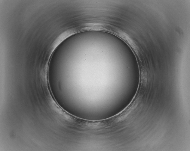 X0000111851386200907231419