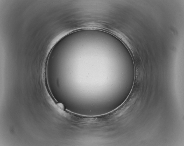 X0000111851387200907231419