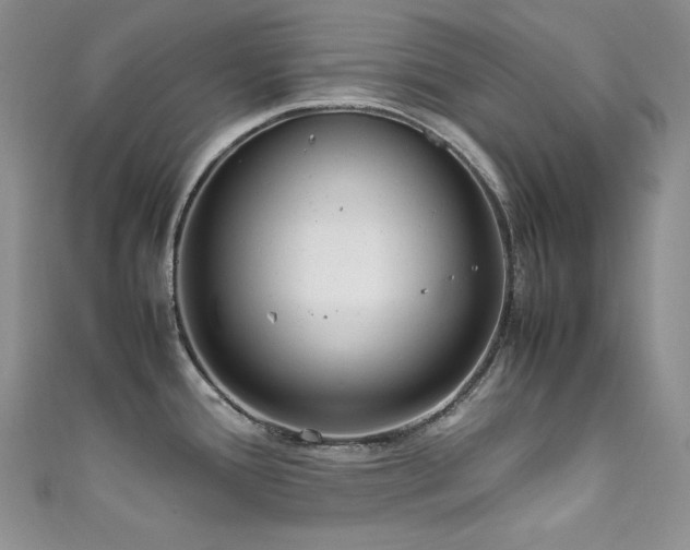 X0000111851388200907231419
