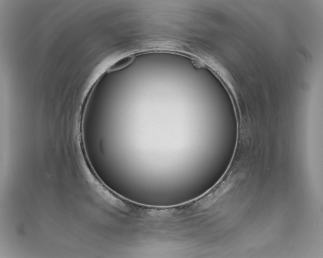 X0000111851389200907231419