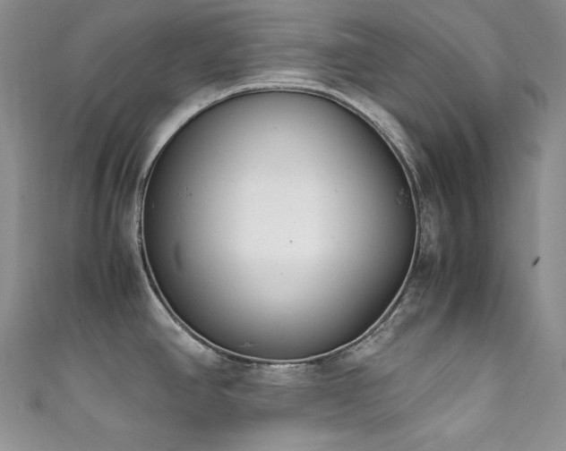 X0000111851390200907231419