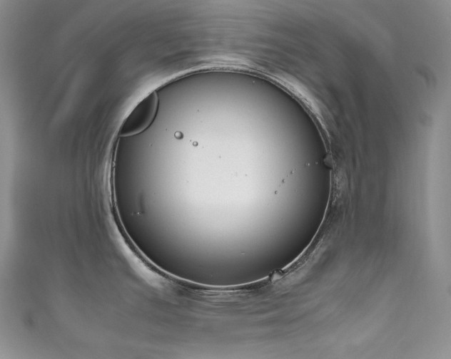 X0000111851391200907231419