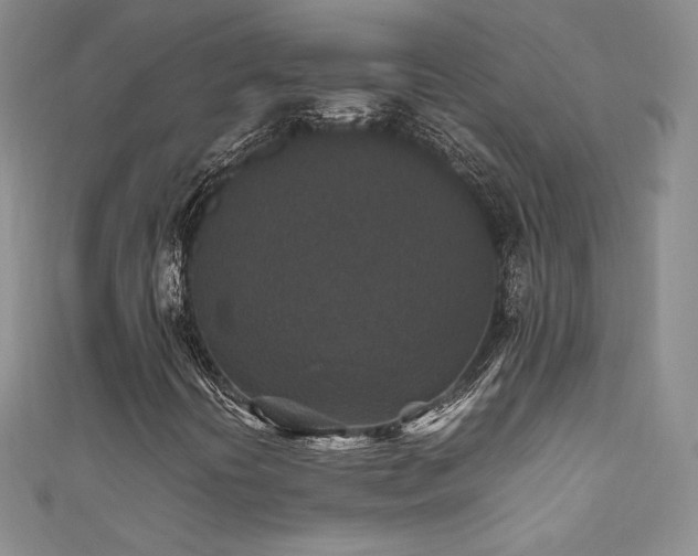 X0000111851394200907231419