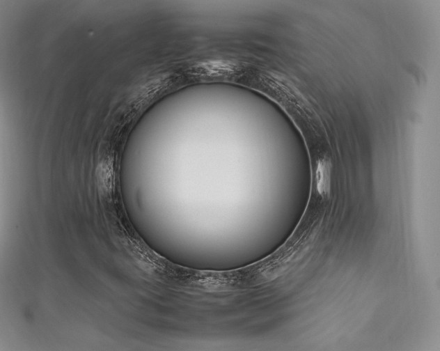 X0000111851395200907231419