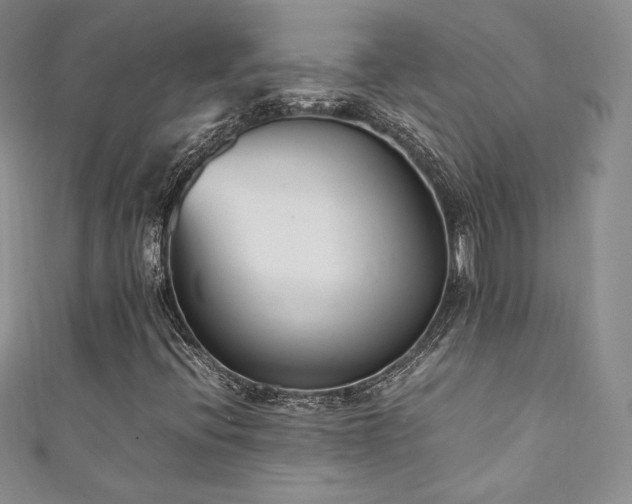 X0000111851396200907231419