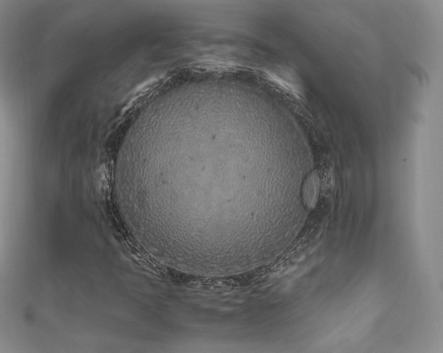X0000111851397200907231419