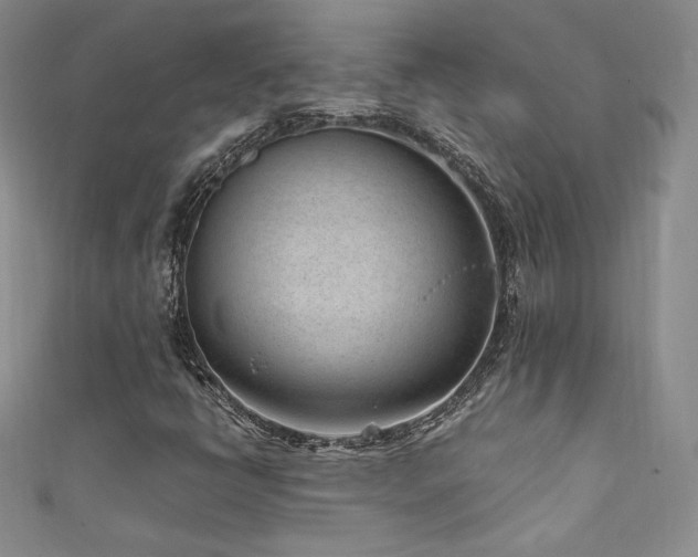 X0000111851398200907231419