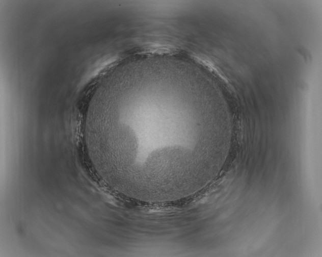 X0000111851399200907231419