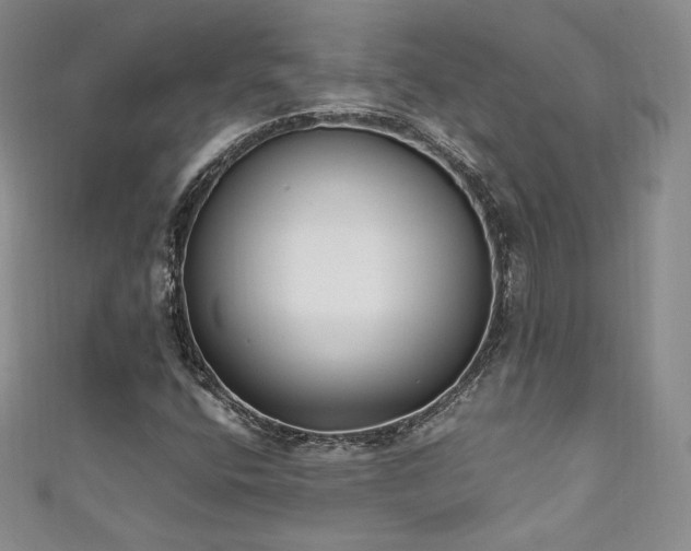 X0000111851400200907231419
