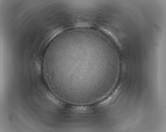 X0000111851401200907231419
