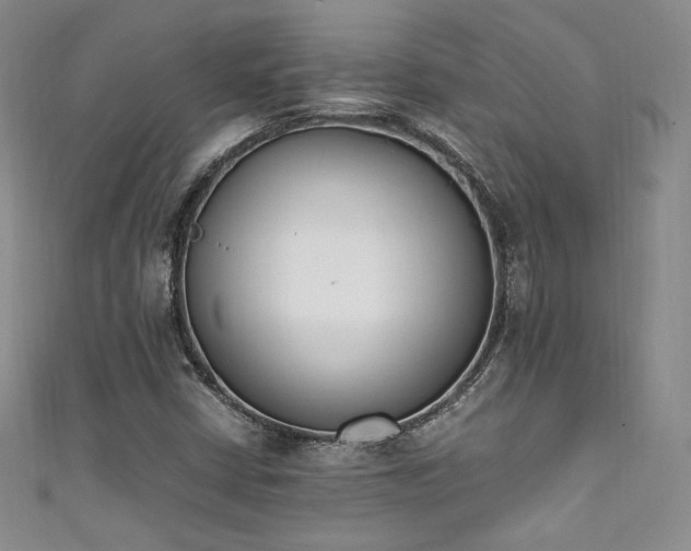 X0000111851402200907231419