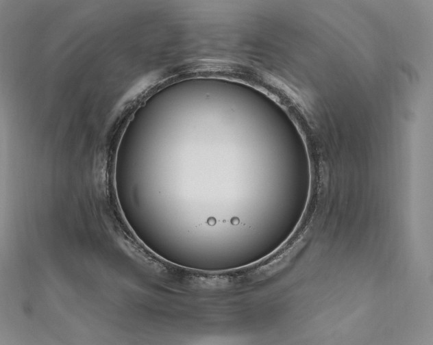 X0000111851403200907231419