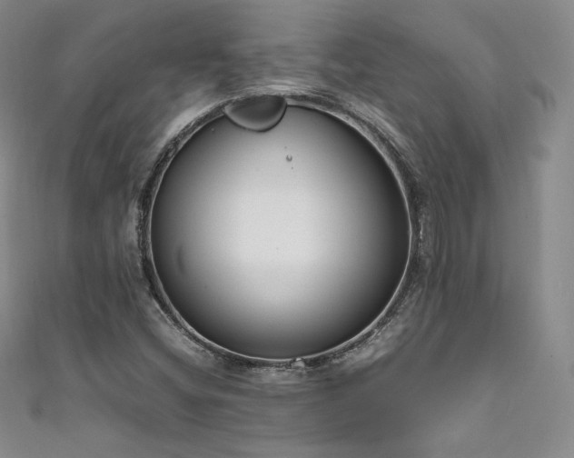 X0000111851404200907231419