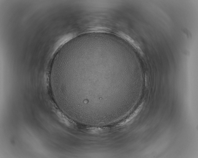 X0000111851405200907231419